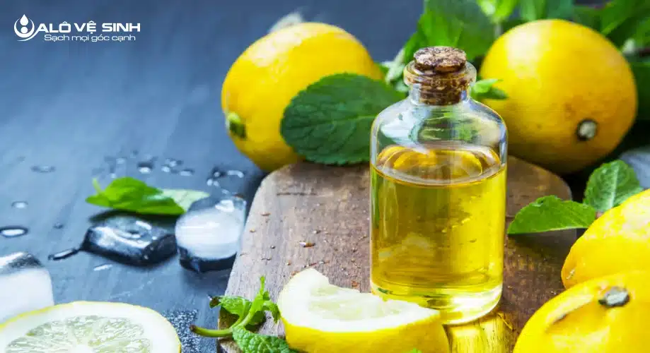Cách vệ sinh topper loại bỏ mùi hôi bằng tinh dầu chanh