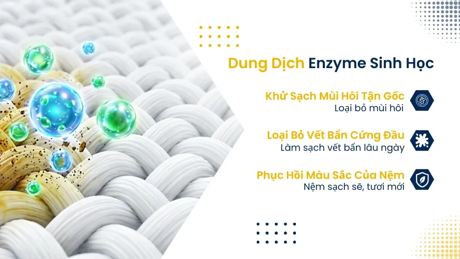 Dung dịch giặt nệm Enzyme sinh học khử sạch mùi hôi, loại bỏ vết bẩn cứng đầu