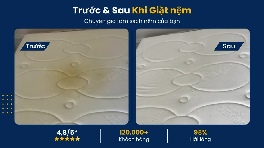 Kỹ thuật giặt nệm xử lý nấm mốc đen tích tụ lâu ngày