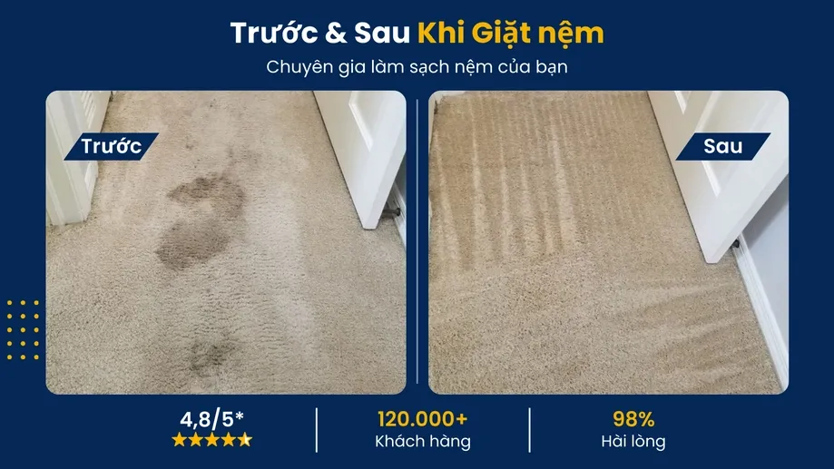 So sánh trước sau khi giặt nệm và thảm khử mùi hôi thú cưng